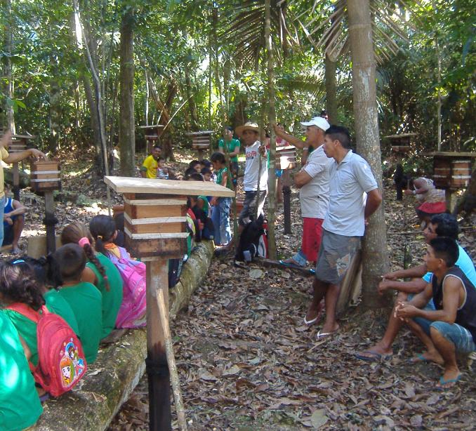 Sensibilisation des plus jeunes à l'apiculture